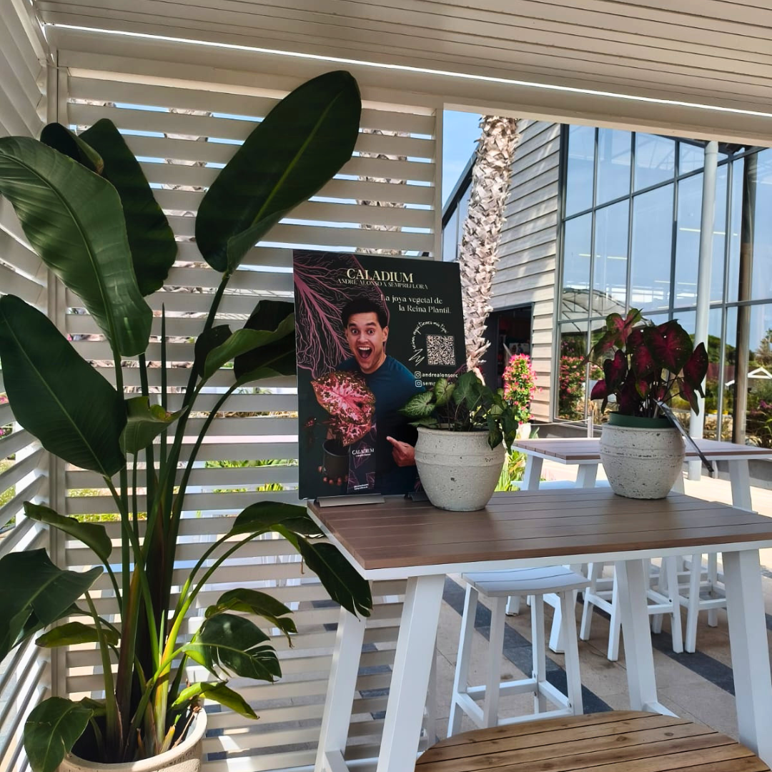 Així vam viure el nostre CALADIUM TOUR a Artiflora